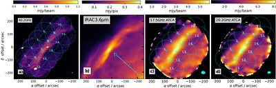 Probing Anomalous Microwave Emission with the Square Kilometre Array