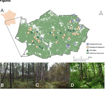Broadleaved hedgerows as complementary habitats for small mammals in pine plantation landscapes