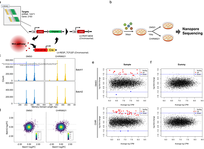Proof-of-Concept of A DNA-Based Recording System for High-Throughput Functional Gene Screening