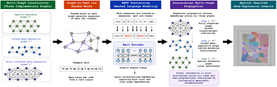 BertST: BERT-based Spatial Domain Identification in Patient Data