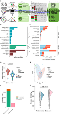 Predicting Pre-treatment Resistance or Post-treatment Effect? A Systematic Benchmarking of Single-Cell Drug Response Models