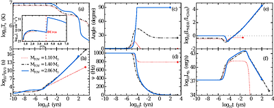 Effects of nucleon-nucleon short-range correlation and symmetry energy on the evolution of newly born magnetars