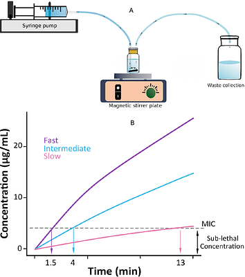 Speed Matters: Accelerated Pharmacokinetics Reduce Persisters in Escherichia coli