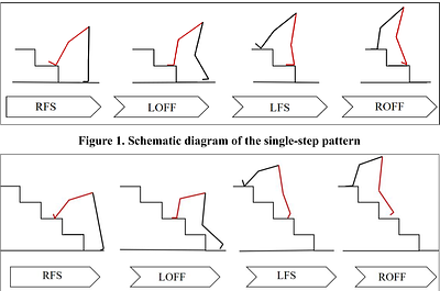 The Effects of Different Gait Patterns on Knee Joint Biomechanics and Dynamic Stability during Stair Walking in Healthy Adults