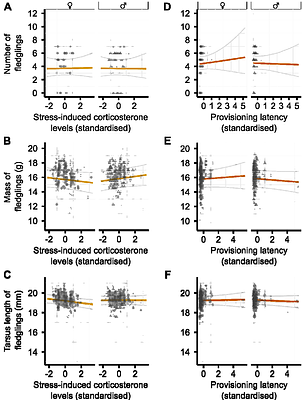 A capture-handling-restraint protocol elicits short-term stress responses in female and male parental wild great tits (Parus major) but has little impact on reproductive success