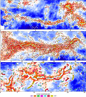 A Salpeter-like filament linear density function across nearby molecular clouds