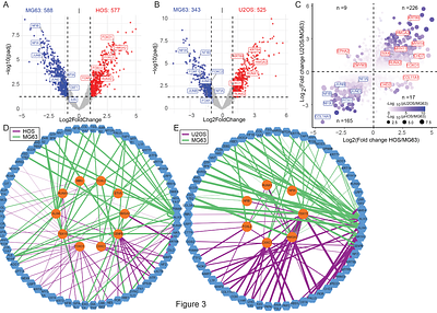 Proteome-wide multi-omics profiling of osteosarcoma transcription factor networks