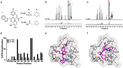 In silico discovery of compounds targeting NPSL2: a regulatory element in the human oncomiR-1 primary microRNA.
