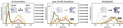Rectifying AI-generated protein structure ensembles for equilibrium using physics-based computations