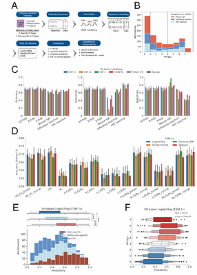 Prediction of Antibody Non-Specificity using Protein Language Models and Biophysical Parameters
