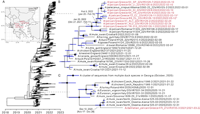 Dynamics and control of highly pathogenic H5 avian influenza in a threatened pelican population
