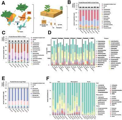 Bridging Gaps in Soil Ecology: Metagenomic Insights into Microbial Diversity and Functionality Across Brazil's Biomes.