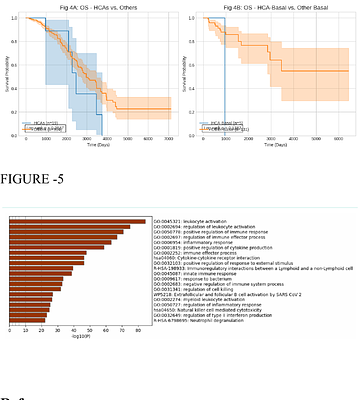 Beyond PAM50: Unsupervised Discovery of Anomalous Subgroups in Breast Cancer