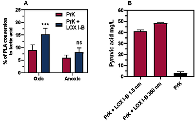 Synergistic Action of Commercial Lipase, Lipoxygenases and Proteinase towards PLA Depolymerization
