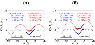 Comparing Orientation-Dependent Transverse Relaxation at 3T and 7T: Deciphering Anisotropic Relaxation Mechanisms in White Matter
