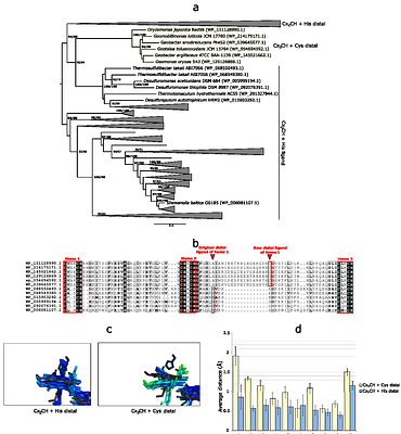 The modular evolution of multiheme cytochromes c bucks the general trend observed in proteins