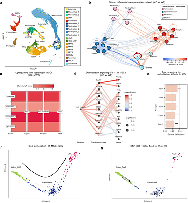 IntraTalker - Modelling Intracellular Signalling in1 Cellular Crosstalk