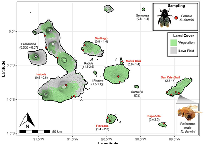 Vicariance and dispersal shape the colonization history of the Galapagos carpenter bee, Xylocopa darwini