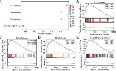 Integrated bioinformatics and single-cell analysis identifies vascular aging-related hub genes and immune drivers in atherosclerosis.