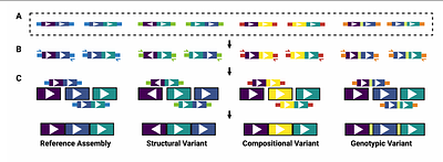 Assemblatron: An Automated Workflow for High-Throughput Assembly of Big-DNA Libraries