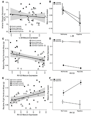 Local adaptation, plasticity, and evolved resistance to hypoxic cold stress in high-altitude deer mice