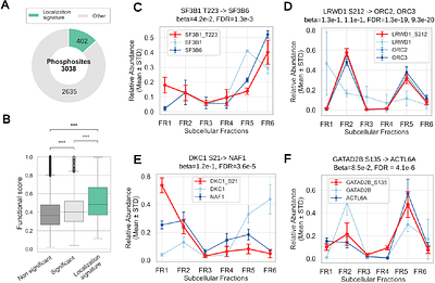 A Multi-Omics Framework Reveals Phosphorylation-Dependent Control of Protein Interactions