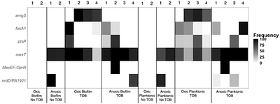 Anoxia selects for high fitness biofilms and increased antibiotic resistance in Pseudomonas aeruginosa