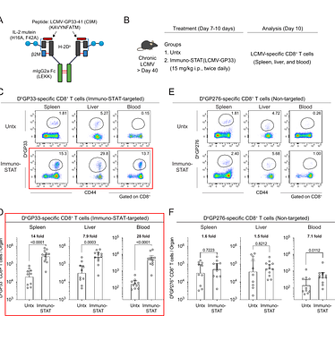 Simultaneous TCR and IL-2 agonism selectively enhances epitope-specific CD8 T cell responses during chronic viral infection
