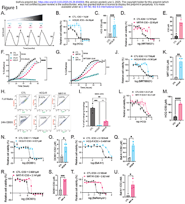 Leveraging autophagy and pyrimidine metabolism to target pancreatic cancer