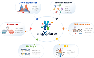 snpXplorer: an interactive platform for haplotype-aware exploration and integrated annotation of GWAS data
