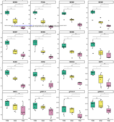 Proteome Dynamics Across the Blastogenic Cycle of Botryllus schlosseri Reveals Targets for Cell Immortalization