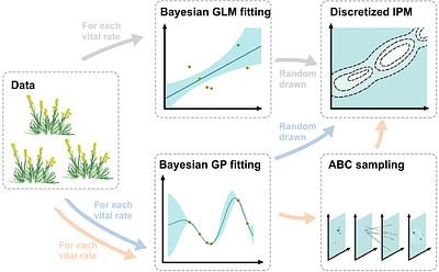 Improving Joint Estimation of Vital Rates in IPMs via Gaussian Processes and ABC