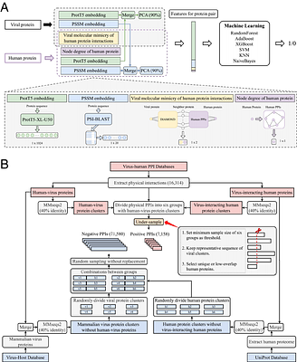 Improved prediction of virus-human protein-protein interactions by incorporating network topology and viral molecular mimicry