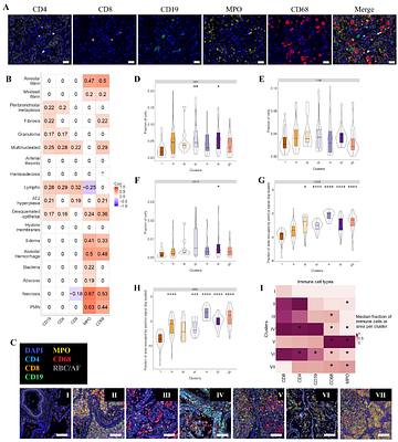Sub-phenotypes of pneumonia defined by pulmonary histopathological features