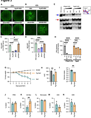 Virion stripping: A new role for bacterial proteases