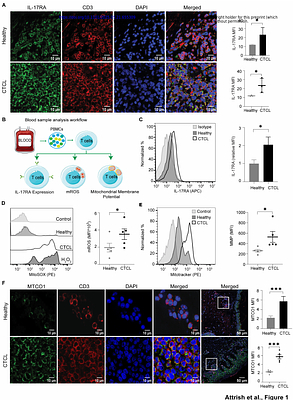 IL-17A potentiates malignant T-cell viability via electron transport chain complex I in cutaneous T-cell lymphoma