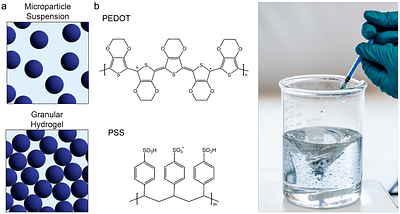 PEDOT:PSS Microparticles for Extrudable and Bioencapsulating Conducting Granular Hydrogel Bioelectronics