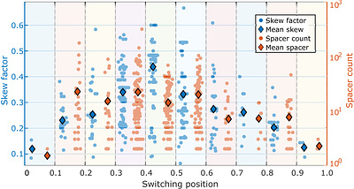 Directional purine pyrimidine asymmetry in CRISPR repeats facilitates spacer acquisition