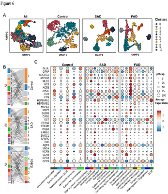 Astrocyte-driven small vessel disease is an early, amyloid-independent feature of PSEN1 E280A familial Alzheimer's disease