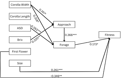 A resurrection experiment reveals reduced adaptive potential in a common agricultural weed