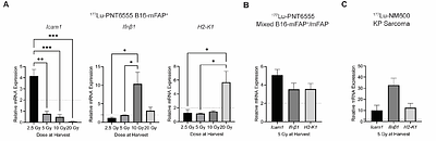 Intratumoral dose heterogeneity promotes adaptive anti-tumor immunity and predicts clinical response to radiopharmaceutical therapy