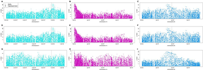 Characterization of a novel heat tolerance trait and subsequent haplotype block-based analysis to identify causal regions in Dutch Holstein cattle