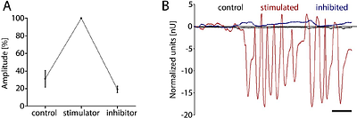 TickMotion: A user-friendly tool to measure and visualize muscle contractions and movements in insect and other arthropod tissues.