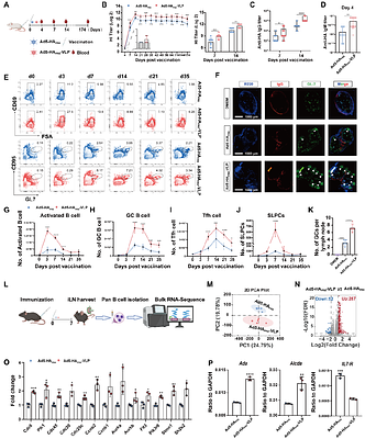 A chimeric Ad5-Envp-VLP vaccine platform confers broad-spectrum immunity against emerging and re-emerging pathogens