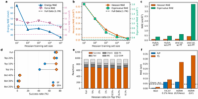 Hessian-informed machine learning interatomic potential towards bridging theory and experiments