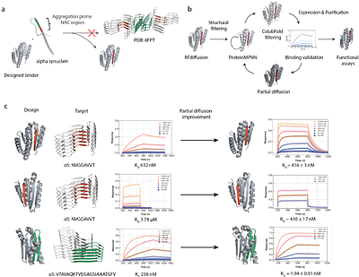 Potent substoichiometric inhibition of alpha-synuclein aggregation by de novo oligomer-binding proteins