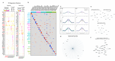 Multiomic profiling of hypoxic glioblastoma stem cells reveals expansion of subpopulations with distinct epigenetic and CNV profiles