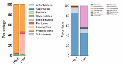 Competition, Mutualism, and Host Immune Control in a Cancer Microbiome