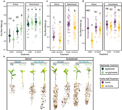 Orchard management alters citrus root and rhizosphere microbiomes with functional consequences for plant performance