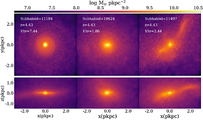 Dynamically cold discs in high-redshift galaxies: comparison between ALMA observations and TNG50